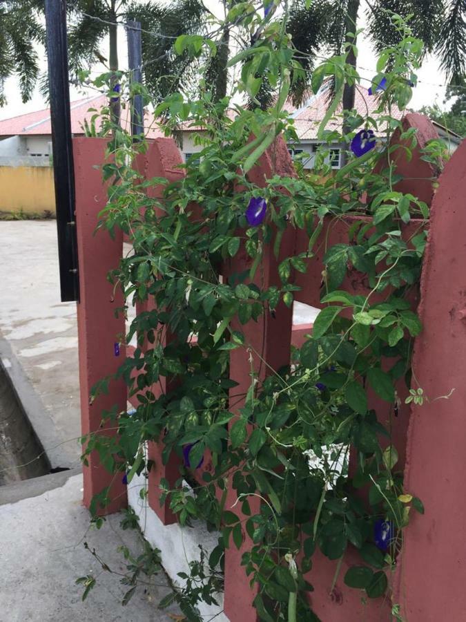 The Garden Vacation Home Lumut Extérieur photo